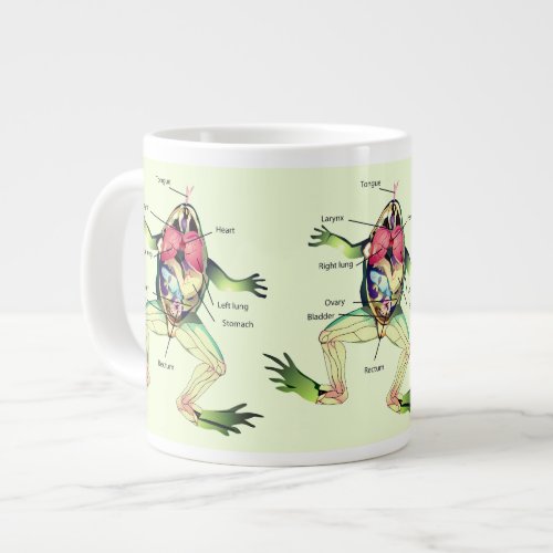 The Frogs Anatomy Illustration Giant Coffee Mug