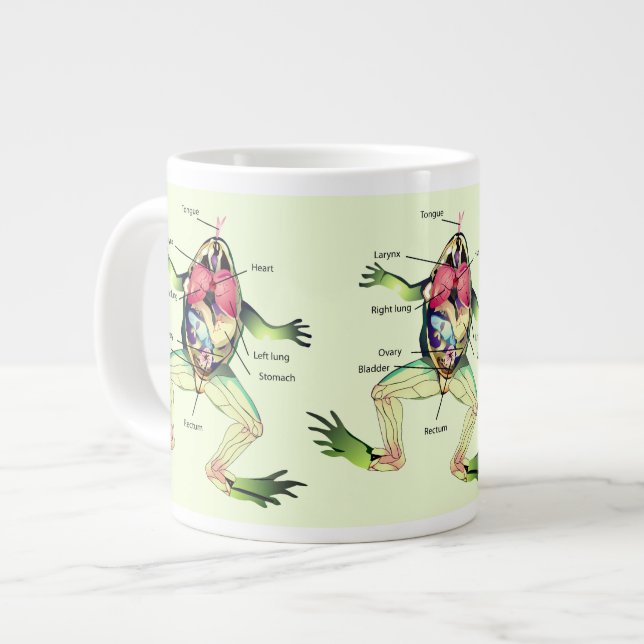 The Frog's Anatomy Illustration Giant Coffee Mug (Front Left)