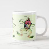 The Frog's Anatomy Illustration Giant Coffee Mug (Right)