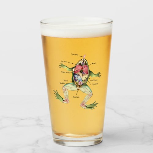 The Frogs Anatomy Illustration Glass