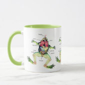 The Frog's Anatomy Illustration Green Mug (Left)