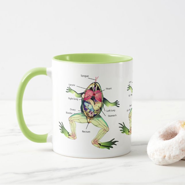 The Frog's Anatomy Illustration Green Mug (With Donut)