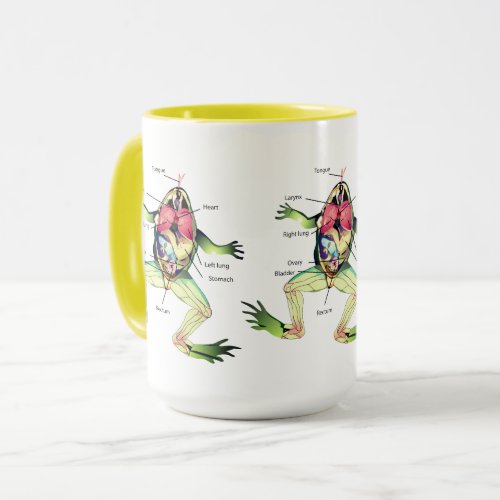 The Frogs Anatomy Illustration Large Mug