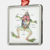 The Frog's Anatomy Illustration Metal Ornament (Left)