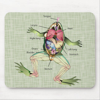 The Frog's Anatomy Illustration Mouse Pad