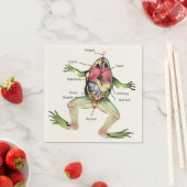 The Frog's Anatomy Illustration Napkins (Insitu)