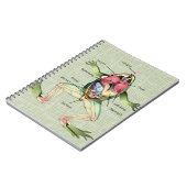 The Frog's Anatomy Illustration Notebook (Left Side)