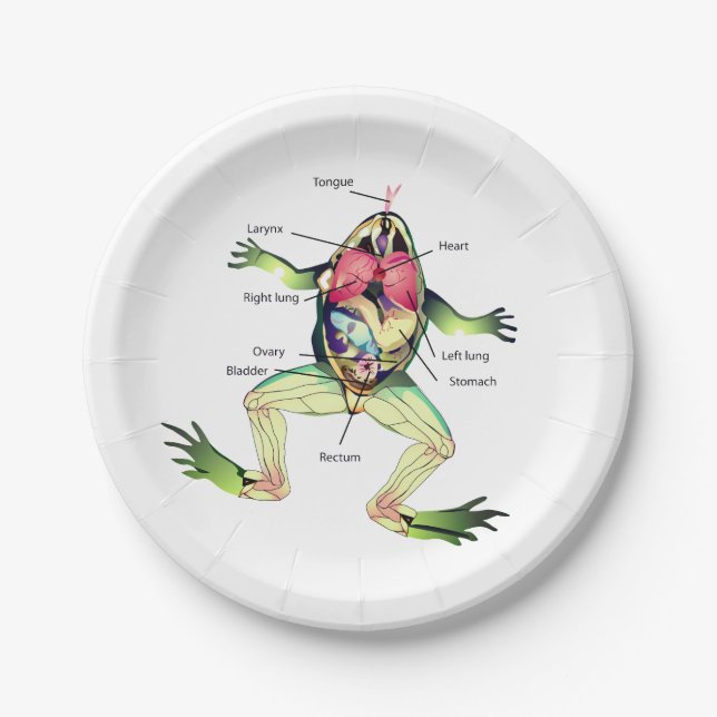 The Frog's Anatomy Illustration Paper Plates (Front)