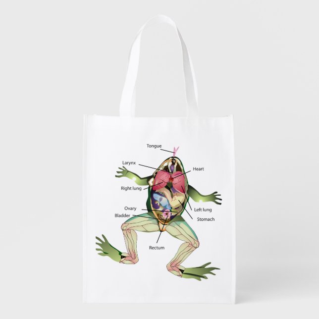 The Frog's Anatomy Illustration Reusable Grocery Bag (Front)