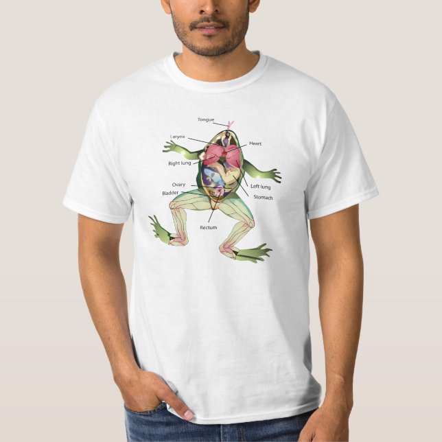 The Frog's Anatomy Illustration T-Shirt (Front)
