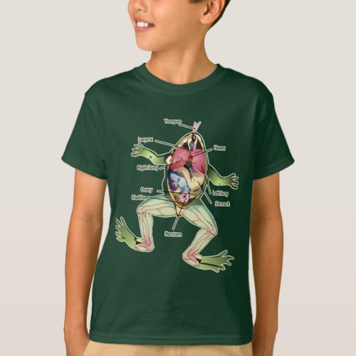 The Frogs Anatomy Illustration T_Shirt