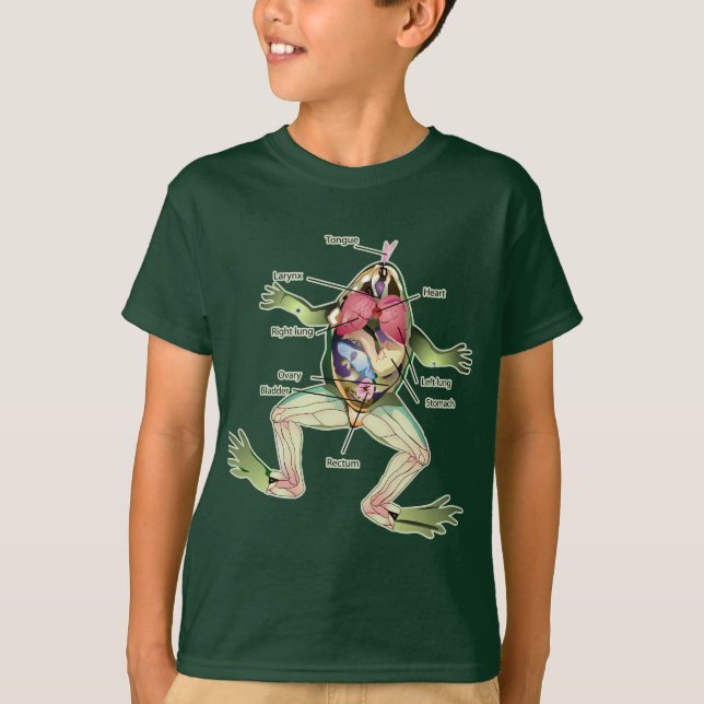 The Frog's Anatomy Illustration T-Shirt (Front)