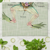 The Frog's Anatomy Illustration Towel (Folded)