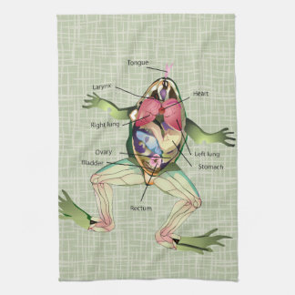 The Frog's Anatomy Illustration Towel