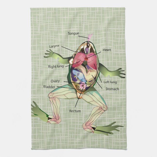 The Frog's Anatomy Illustration Towel (Vertical)