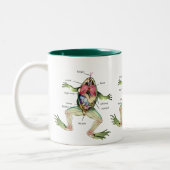 The Frog's Anatomy Illustration Two-Tone Coffee Mug (Left)