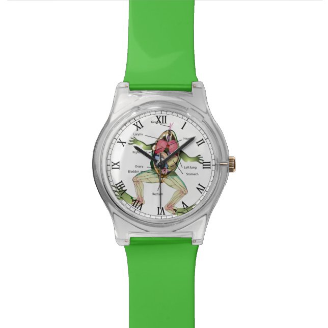 The Frog's Anatomy Illustration Wristwatch (Close Up)