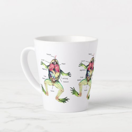The Frogs Anatomy Latte Mug