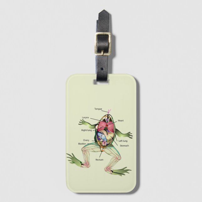 The Frog's Anatomy Luggage Tag (Front Vertical)