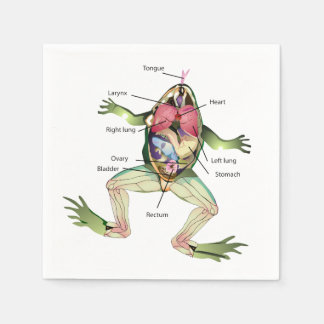 The Frog's Anatomy Napkins