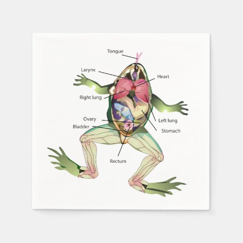 The Frogs Anatomy Napkins
