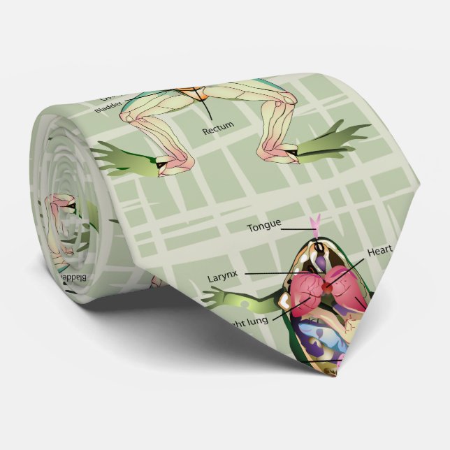 The Frog's Anatomy Neck Tie (Rolled)
