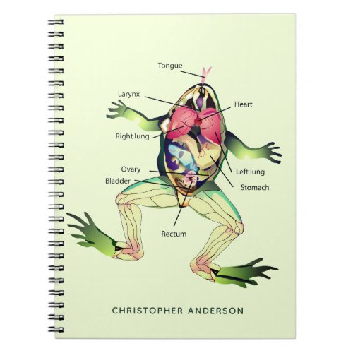 The Frogs Anatomy Personalize Green Notebook