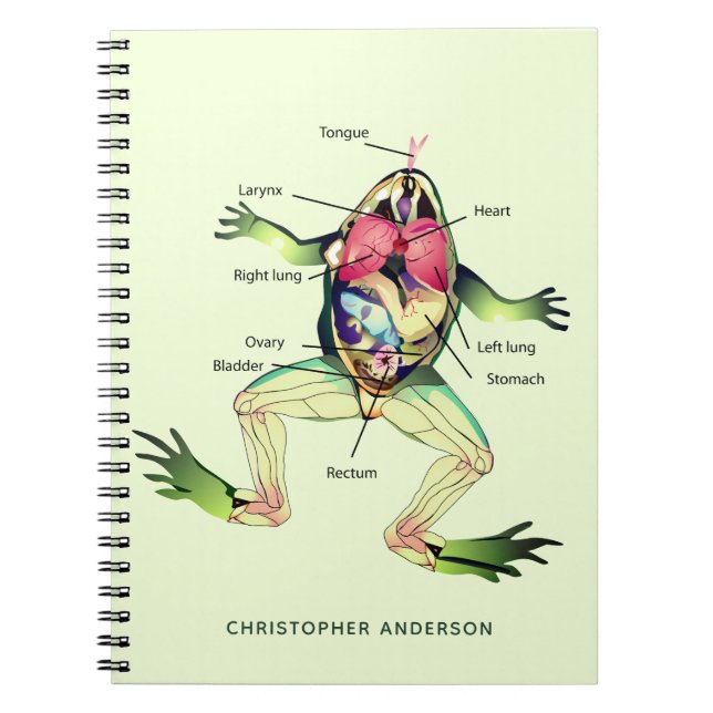 The Frog's Anatomy Personalize Green Notebook (Front)