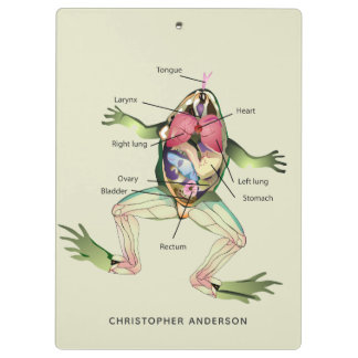 The Frog's Anatomy Personalized Clipboard