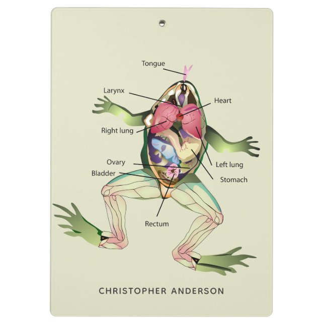 The Frog's Anatomy Personalized Clipboard (Back)