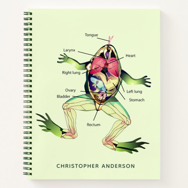 The Frog's Anatomy Personalized Green Notebook (Front)