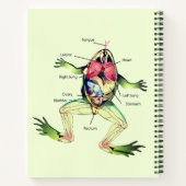 The Frog's Anatomy Personalized Green Notebook (Back)