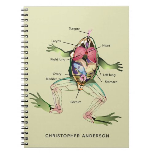 The Frogs Anatomy Personalized Green Notebook