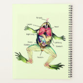 The Frog's Anatomy Personalized Green Planner (Back)