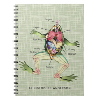 The Frog's Anatomy Personalized Notebook