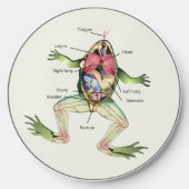 The Frog's Anatomy Science Wireless Charger (Front)