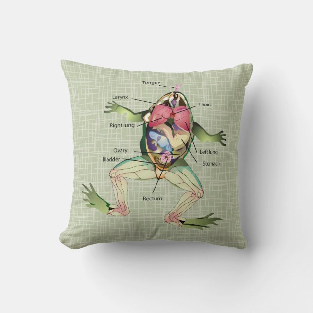 The Frog's Anatomy Throw Pillow (Front)