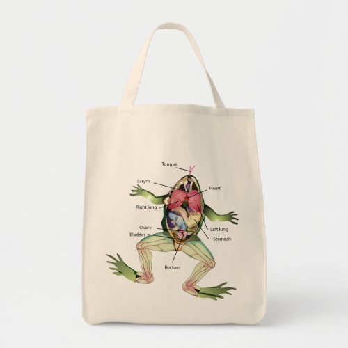 The Frogs Anatomy Tote Bag