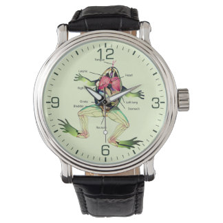 The Frog's Anatomy Watch