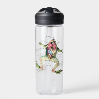The Frog's Anatomy Water Bottle