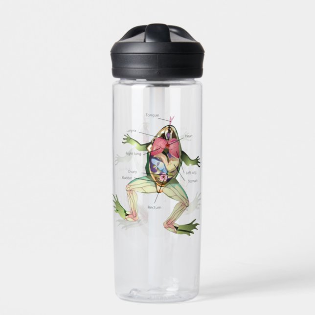 The Frog's Anatomy Water Bottle (Front)