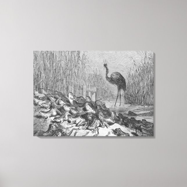The frogs asking for a king, canvas print (Front)