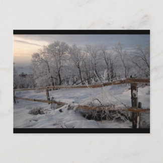 The Frozen North Postcard