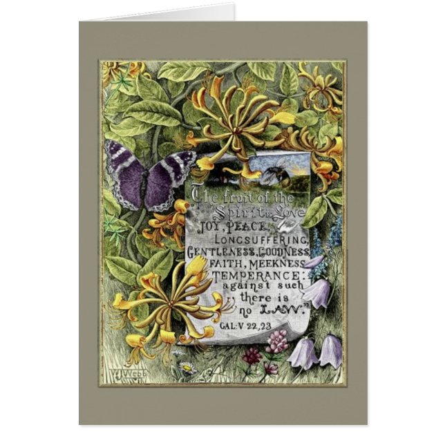 The Fruit Of The Spirit Cards (Front)