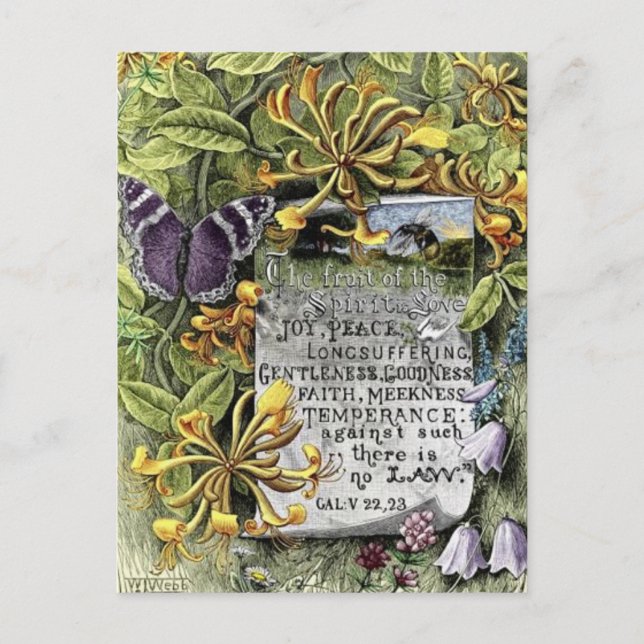 The Fruit Of The Spirit Postcard (Front)