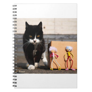 The Fubby's hide from the cat Ping. Notebook