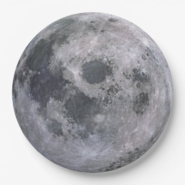 The Full Moon Disposable Paper Plates (Front)