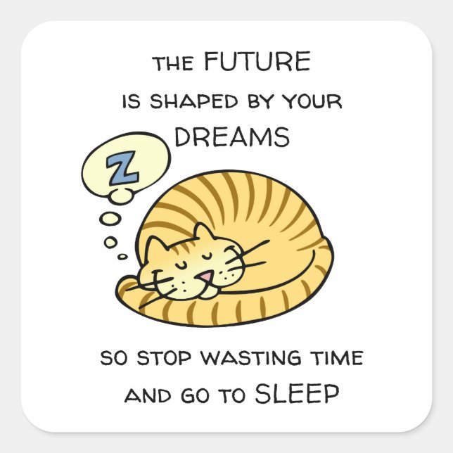 The Future Is Shaped By Your Dreams Funny Saying Square Sticker (Front)