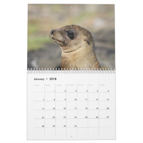 The Galapagos _ 12 month wall calendar