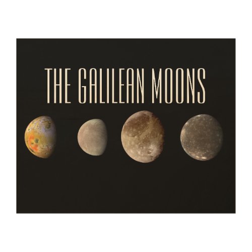 The Galilean Moons Wood Wall Art